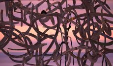 Mon Ami Bleu, Fortunat Frölich + Myriam Thyes, 2023-2024. 3D-Musik + Stereoskopische 3D-Animation, HD, 13:18.