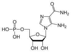 Chemical Structure of AICAR-(5-Aminoimidazole-4-carboxamide-ribonucleotide or AICA ribonucleotide)