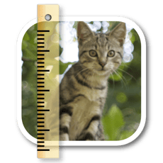 SizeMyPics 1.8.1