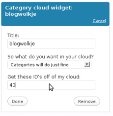 category cloud widget config screenshot