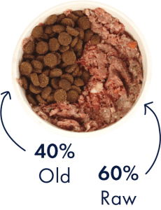 Day 7 - 9 transitioning your dog to a raw diet = 40% old diet + 60% new diet