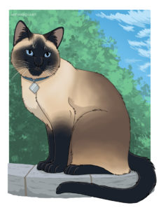 Siamese cat sitting on garden pavers.