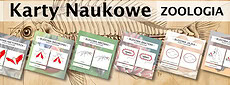 Karty Naukowe Zoologia