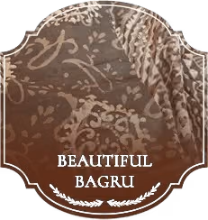 Designer Saree