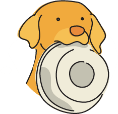 Raw feeding guide visual – dog being served raw food