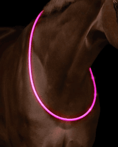 Collier LED 4 Collier LED – Image 4