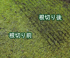 根切り刃