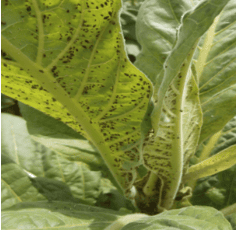 Screen Shot 2026-01-05 at 15.33.39