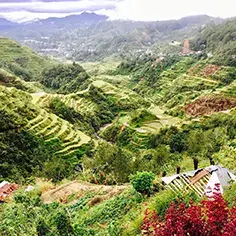 The Ifugao Rice Terraces. As shown here, these terraces are built on very steep hills which is amazing considering they were build 2000 years ago!