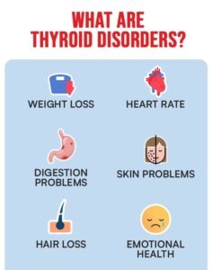What Are Thyroid Disorders