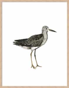 Sea Bird III - 5cm White Border Box Natural