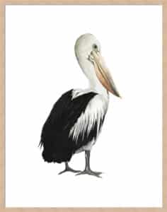 Sea Bird IV - 5cm White Border Box Natural