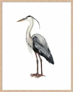 Sea Bird I - 5cm White Border Box Natural