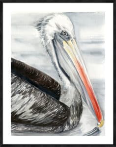 Grey Pelican I - 5cm White Border Sm. Black Woodgrain
