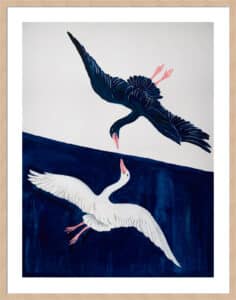 Mirrored Swan II - 5cm White Border Box Natural