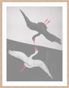 Mirrored Swan I - 5cm White Border Box Natural