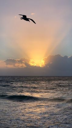 نحميل خلفيات عاليه الجوده.