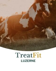 Metazoa TreatFit Lucerne