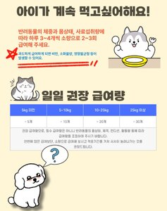 고양이 간식 추천