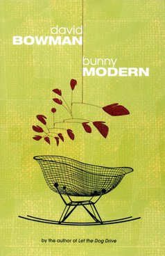 David Bowman, Bunny Modern