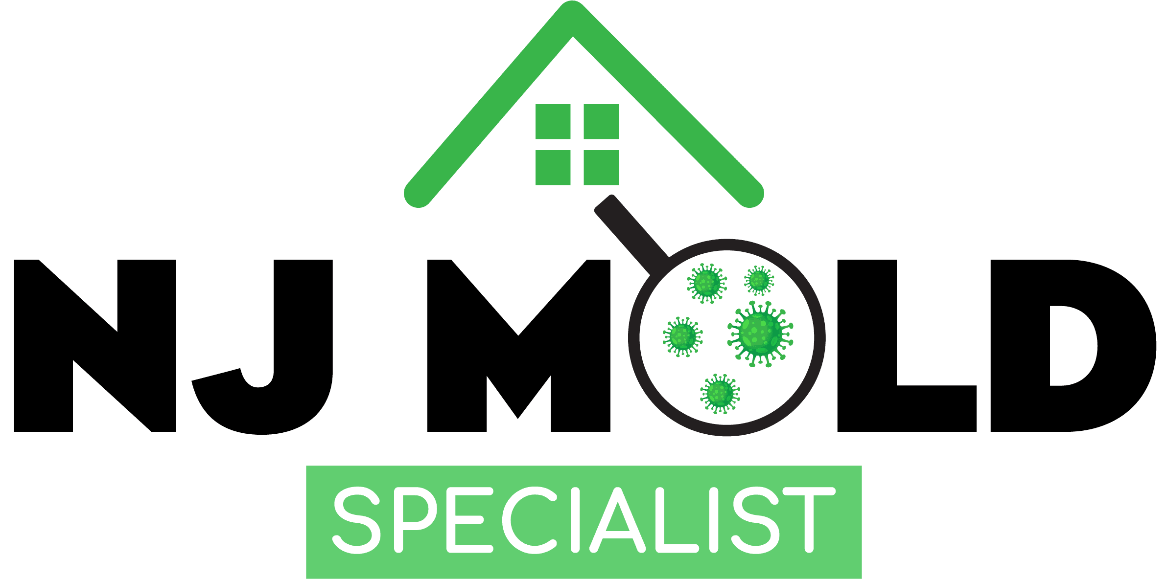 New Jersey Mold Specialist