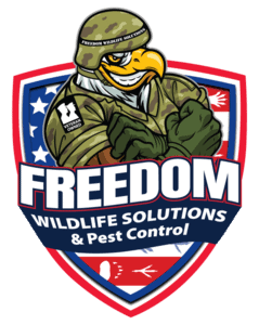 Freedom Wildlife Solutions & Pest Control servicing the greater Raleigh area