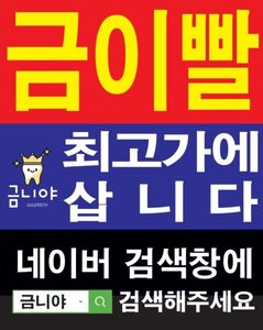 치과금시세