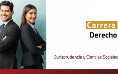Academia
