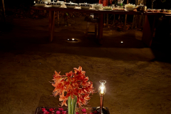 IMG_5537 IMG_5537