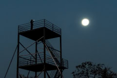 Der Mann im Mond