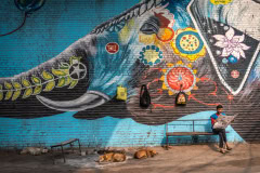 Elephant painting in a street of Prayagraj