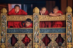 Novizen im Dzong von Punakha