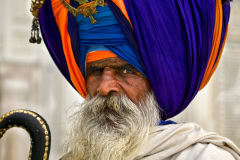 India-2014-2467
