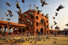 Indien-2013-628