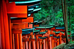 Japan-131