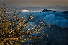 Oman-2014-968