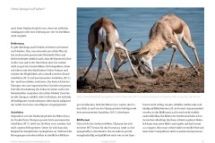 Tierfotografie mit Olympus - eine Erfahrungsbericht von Thorge Berger im Fotoespresso 2016-04