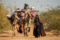 Caravan of Rabari women Caravan of Rabari women