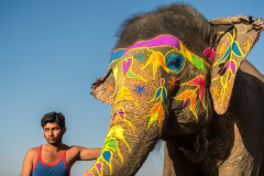 Mahout with his painted elephant Mahout with his painted elephant