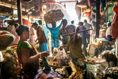 Vegetable Market in Kolkata Vegetable Market in Kolkata