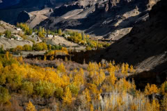 INDIEN-Herbstlandschaft-Ladakh-2022-©-Thorge-Berger-Reisefotoghrafie