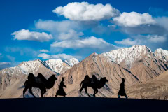 INDIEN-Nubra-Valley-Ladakh-2022-©-Thorge-Berger-Reisefotoghrafie