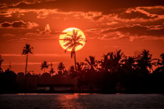 Kerala-19-von-21