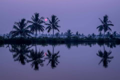 Sonnenaufgang in den Backwaters von Kerala, Indien Sonnenaufgang in den Backwaters von Kerala, Indien