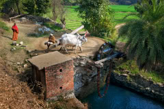 India-2014-1096