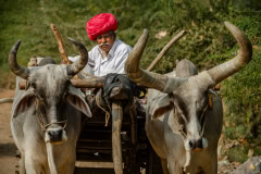 India-2014-1208