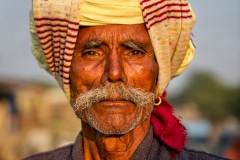 India-2014-1221