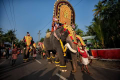 Elefanten-Parade in Kerala, Indien Elefanten-Parade in Kerala, Indien