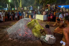 1_Indien-2015-Kerala-653 1_Indien-2015-Kerala-653