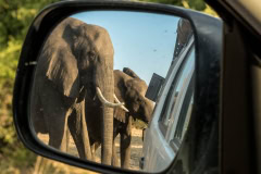 Unterwegs im Chobe National Park, Botswana